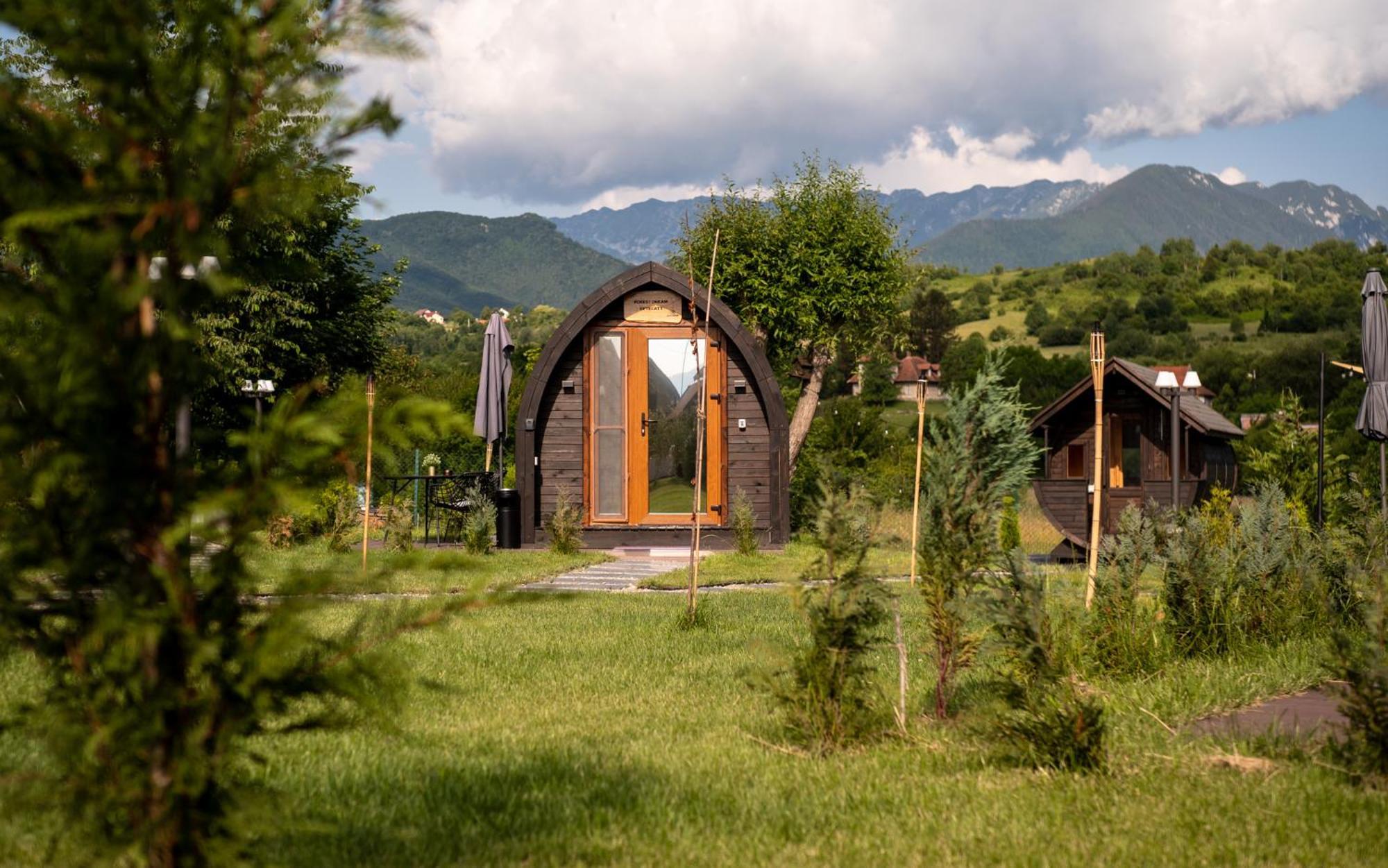 Glamp In Style Pods Resort Bran (Brasov) Exterior foto