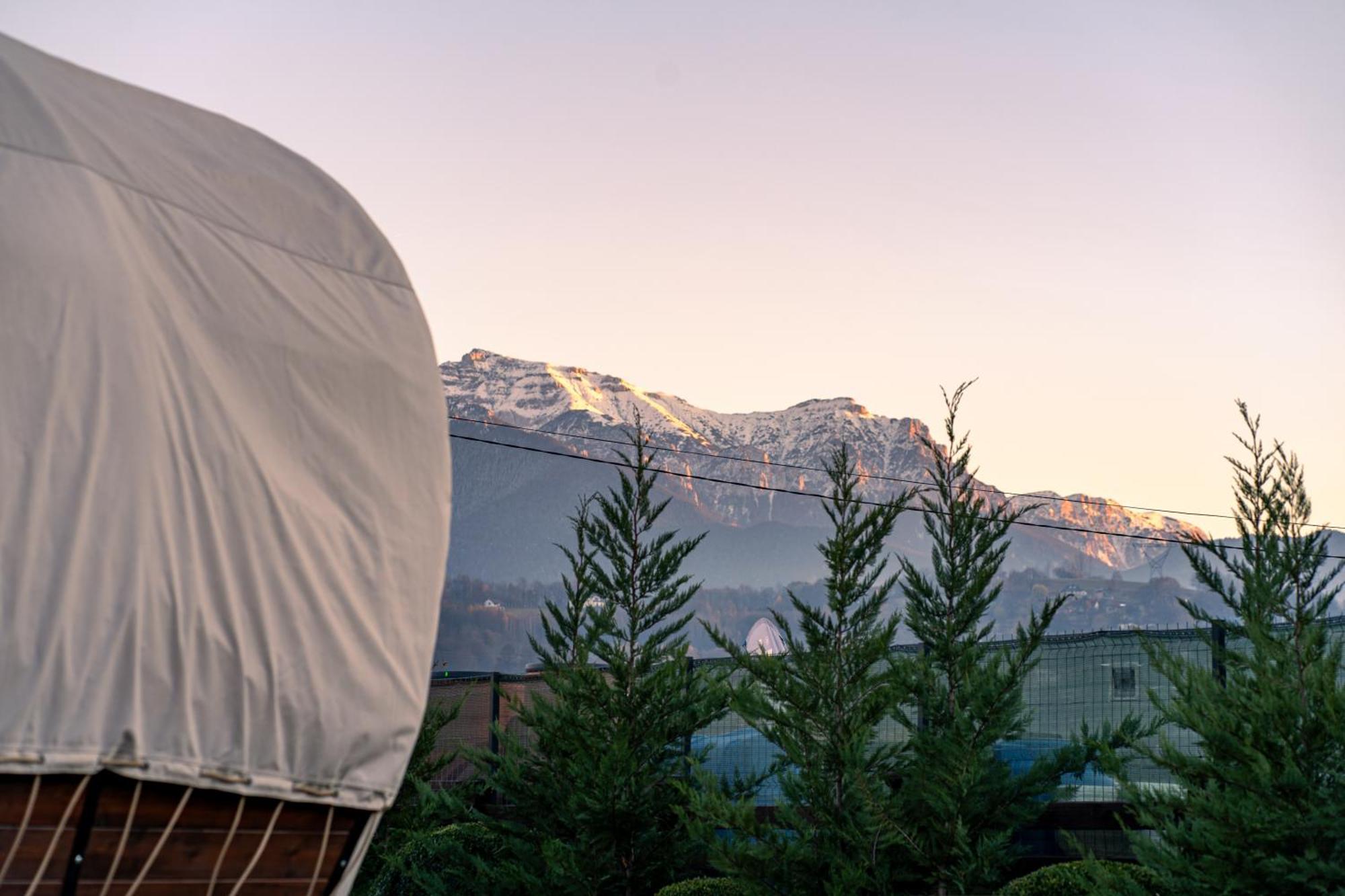 Glamp In Style Pods Resort Bran (Brasov) Exterior foto